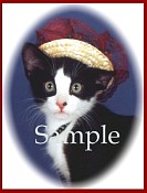 CATN11.jpg
